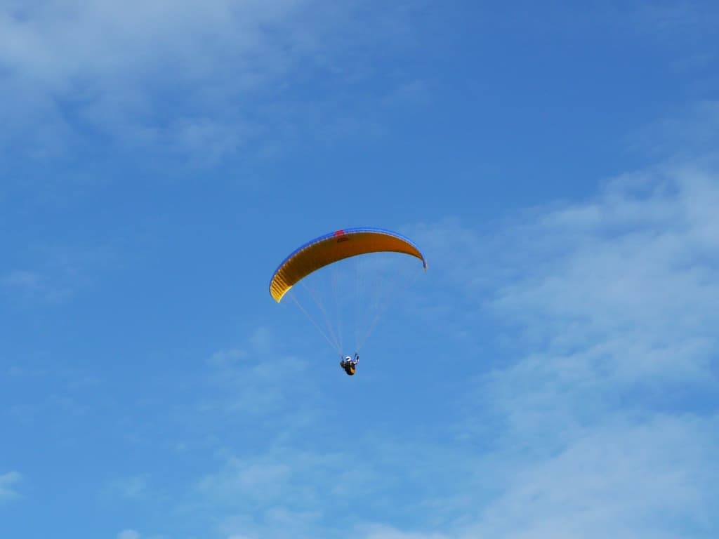 P1000089.jpg
