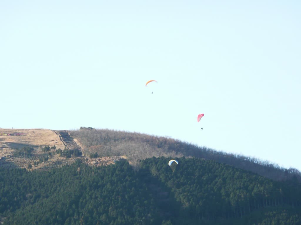 P1000105.jpg