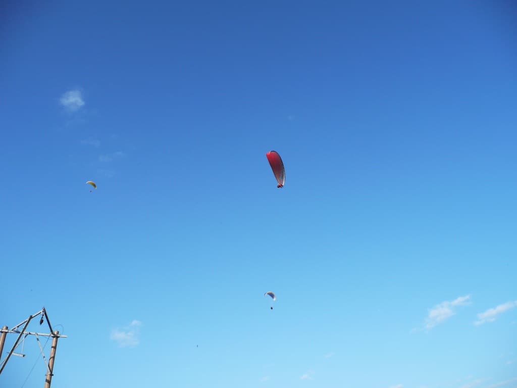 P1000108.jpg