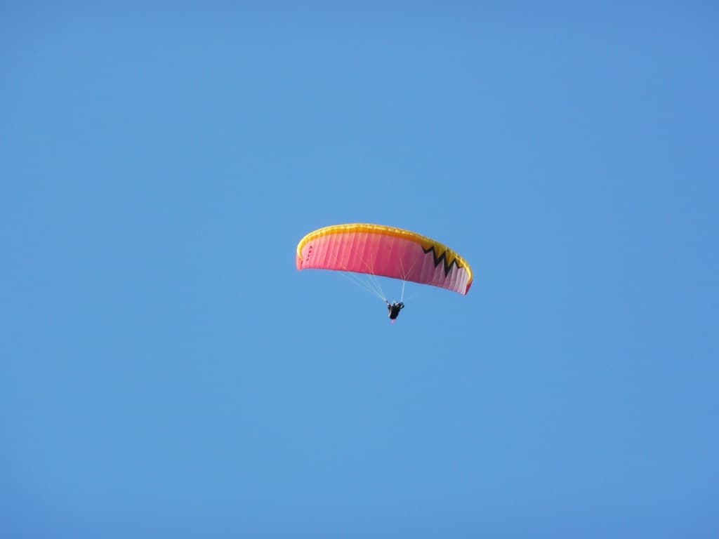 P1000142.jpg