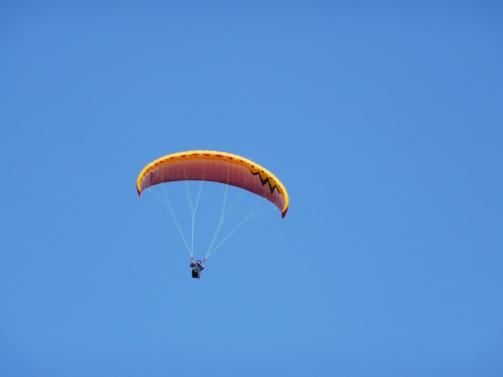 P1000158.jpg