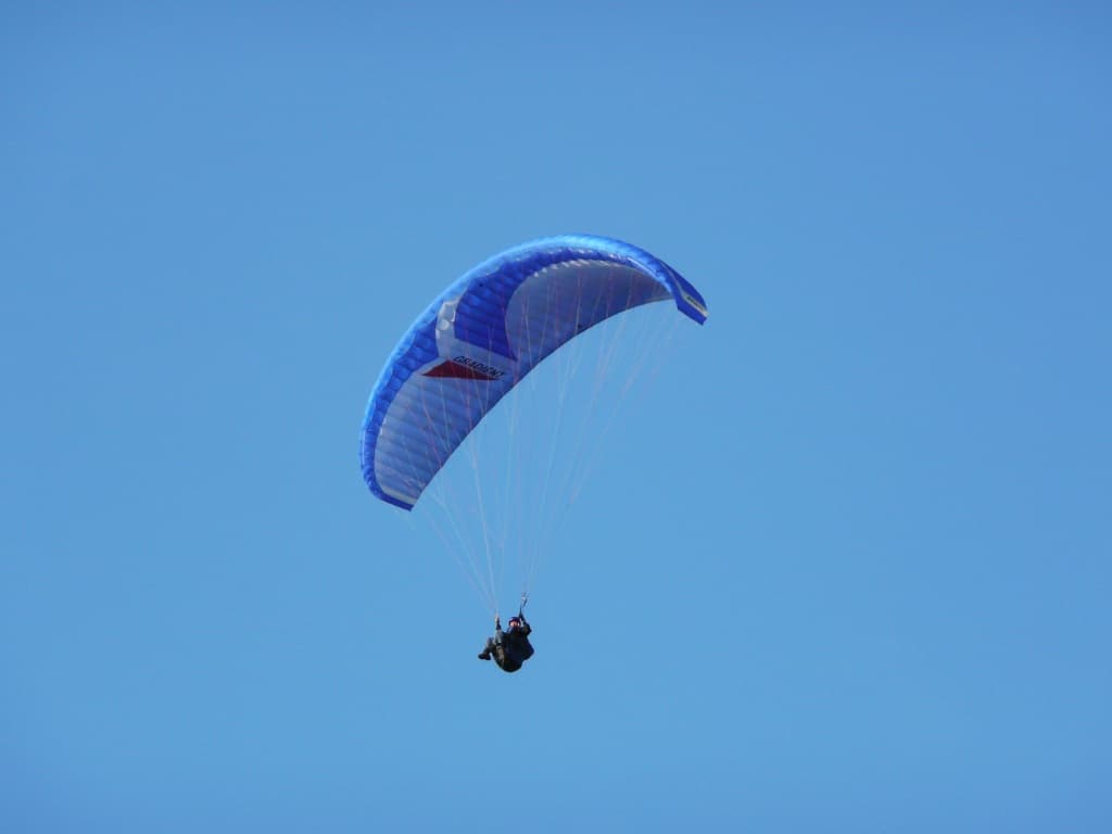 P1000169.jpg