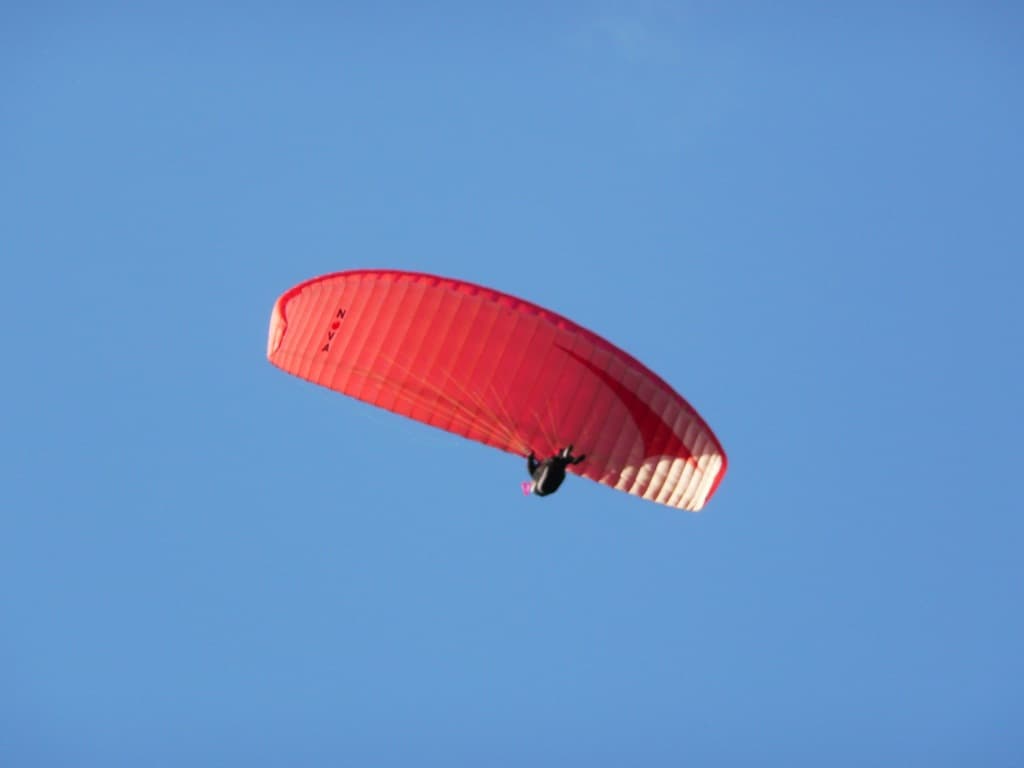 P1000204.jpg
