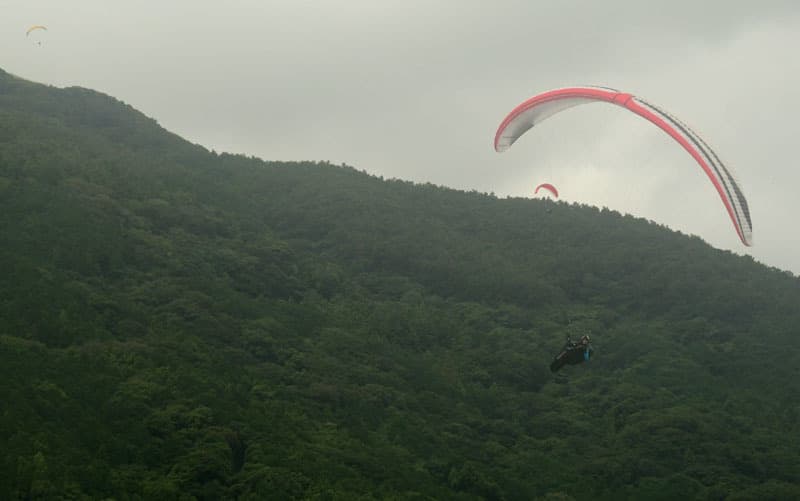 DSC_6953.jpg