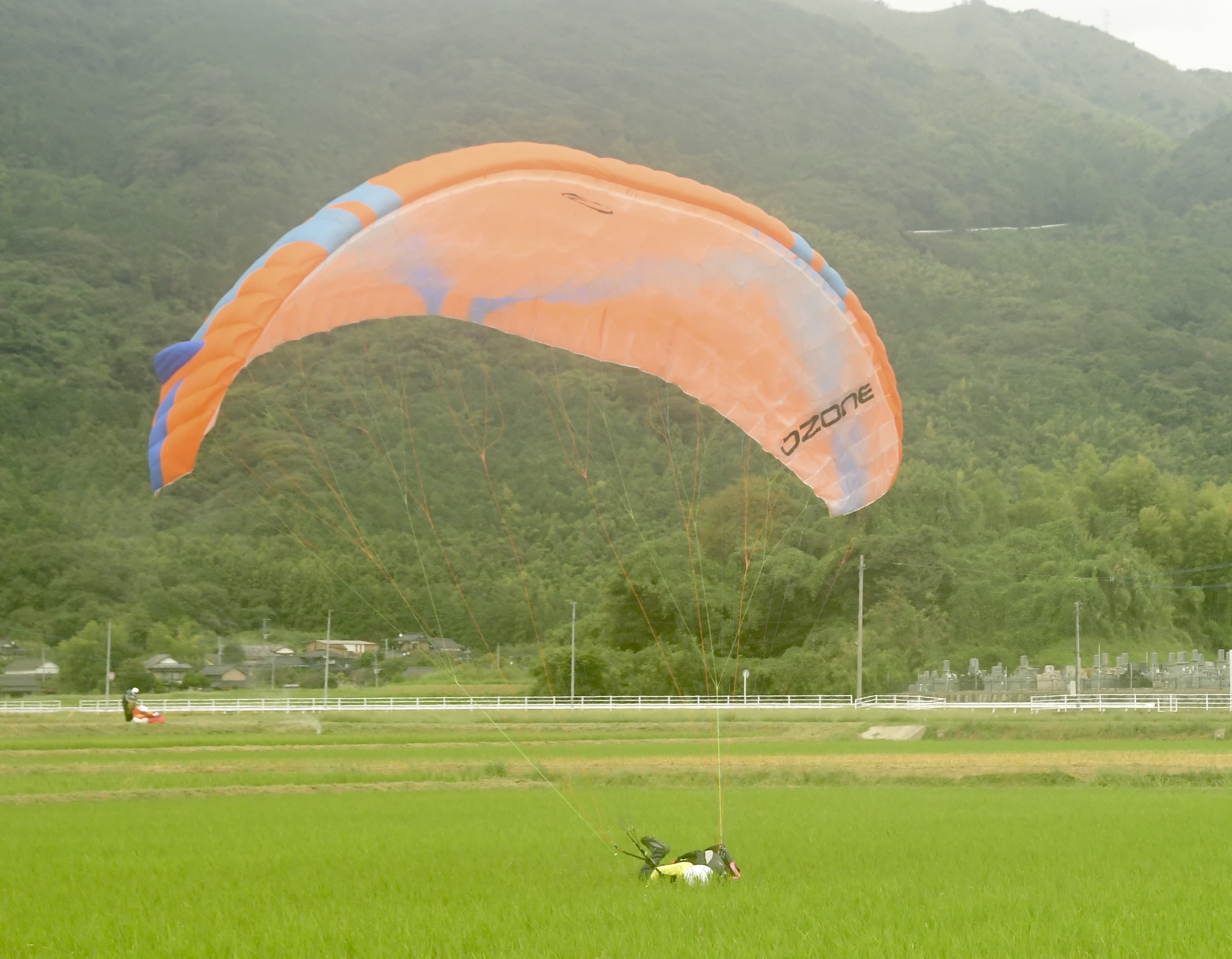 DSC_7175.jpg