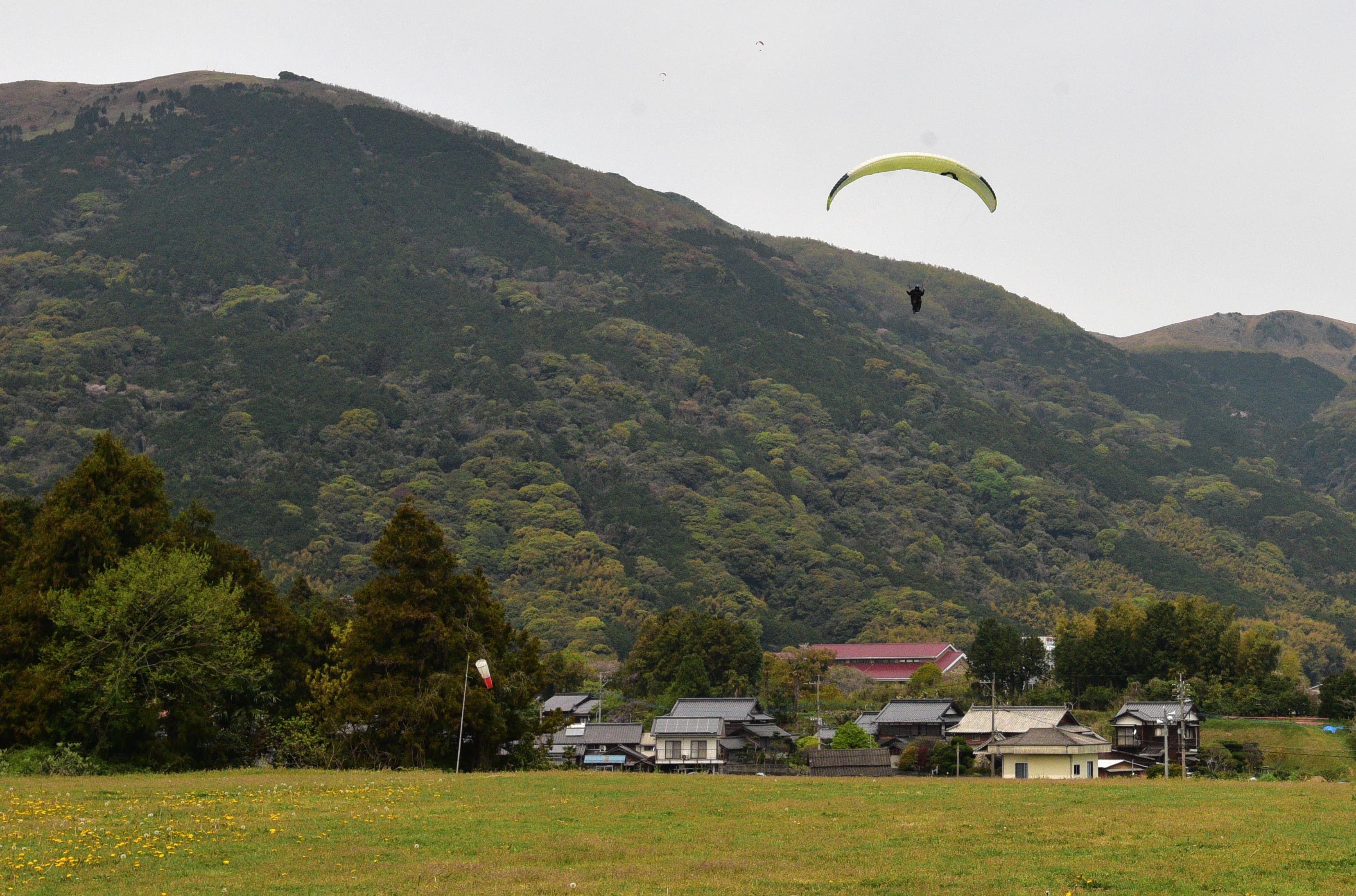 DSC_0133.jpg