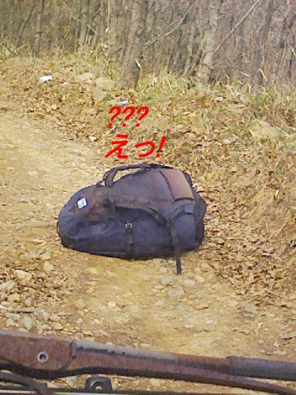 2008_0313画像0026