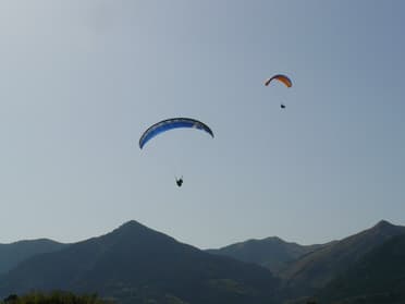 P1010037.jpg