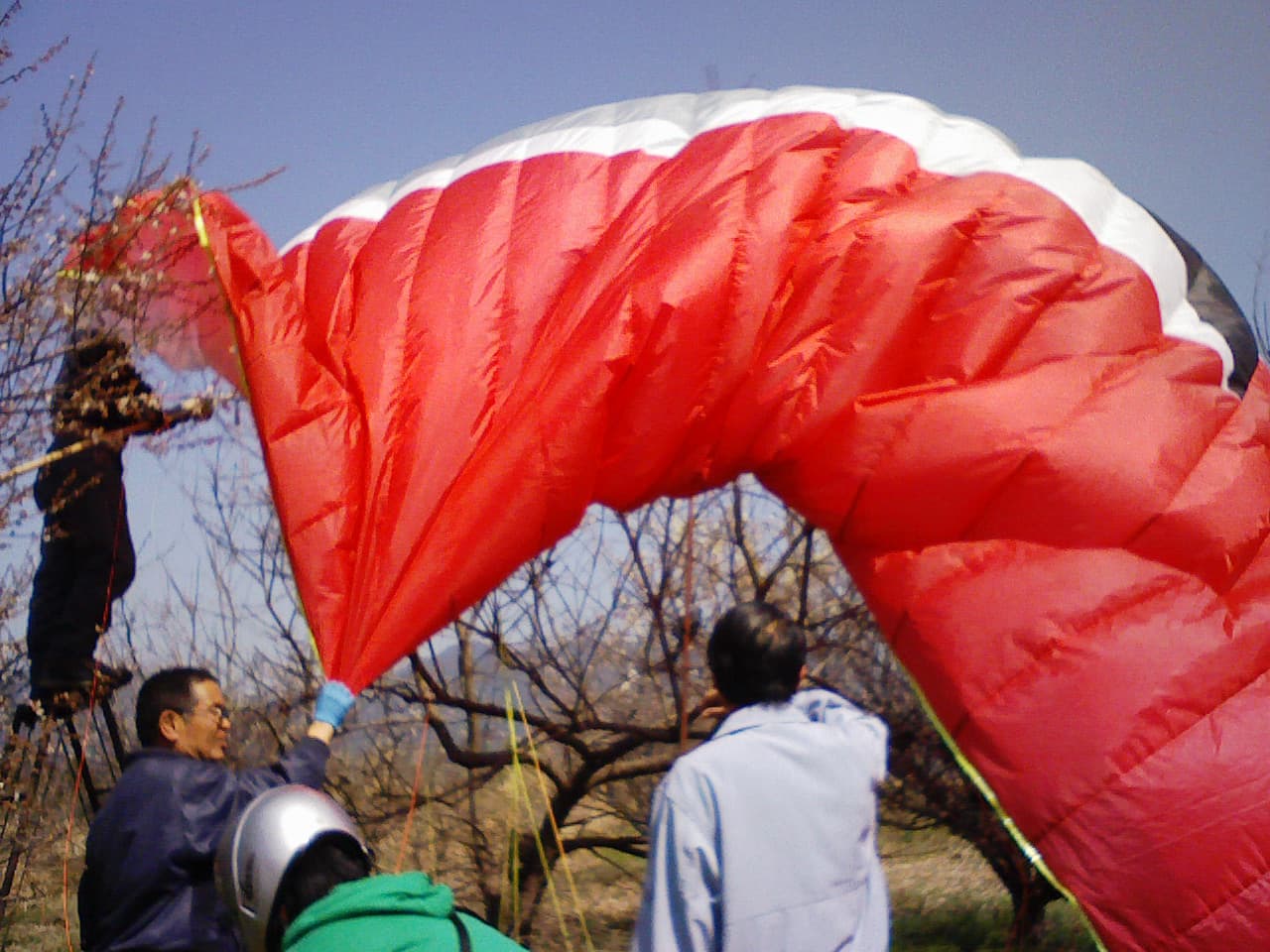 2008_0317画像0008