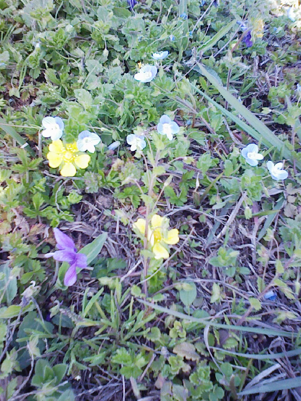 2008_0403画像0051