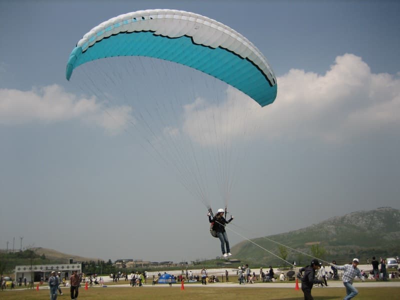 200804293.jpg
