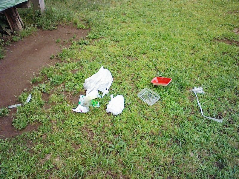 2008_0530画像0004