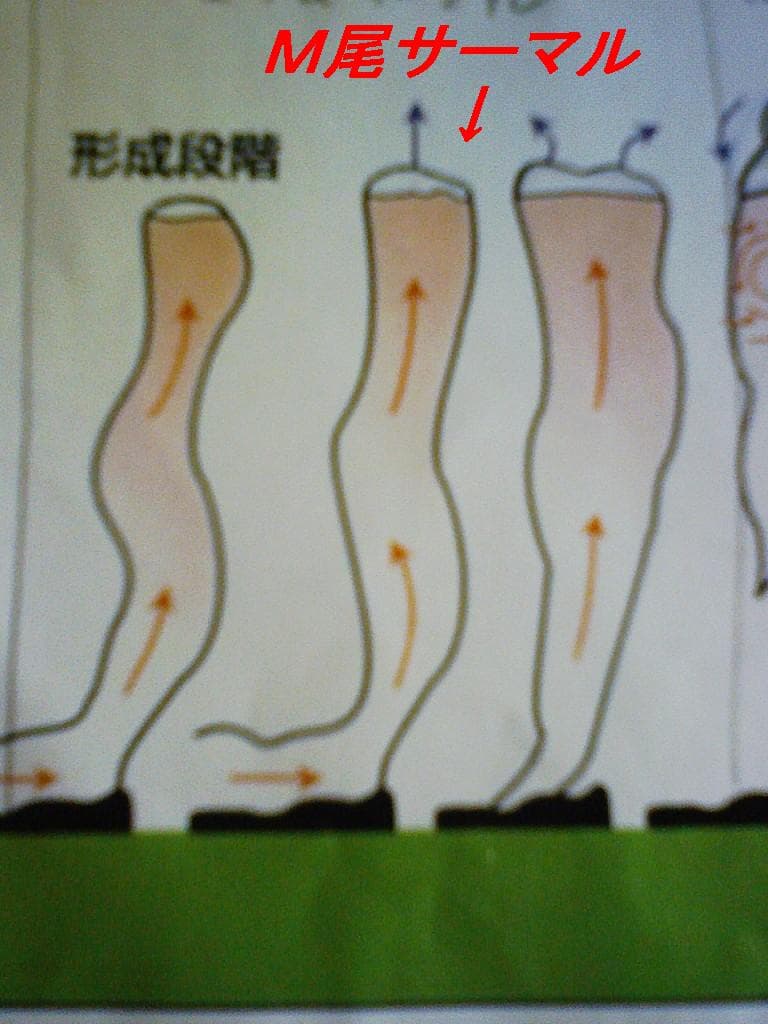 2008_0629画像0012