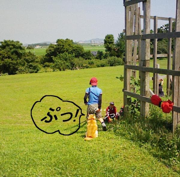 2008_0709画像0019