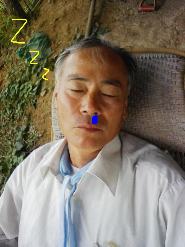2008_0809画像0001