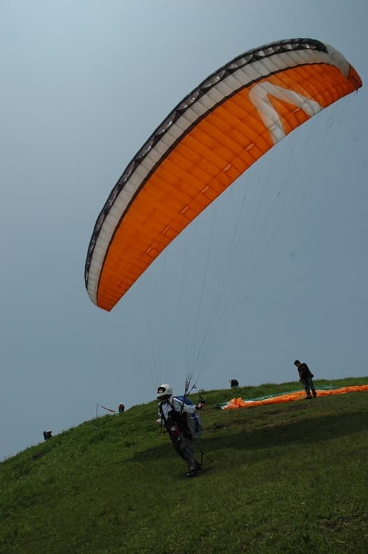 DSC_6321.jpg