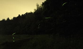 s-DSC_6423.jpg