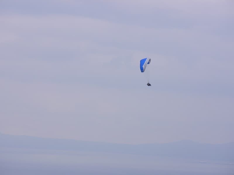SANY0271.jpg