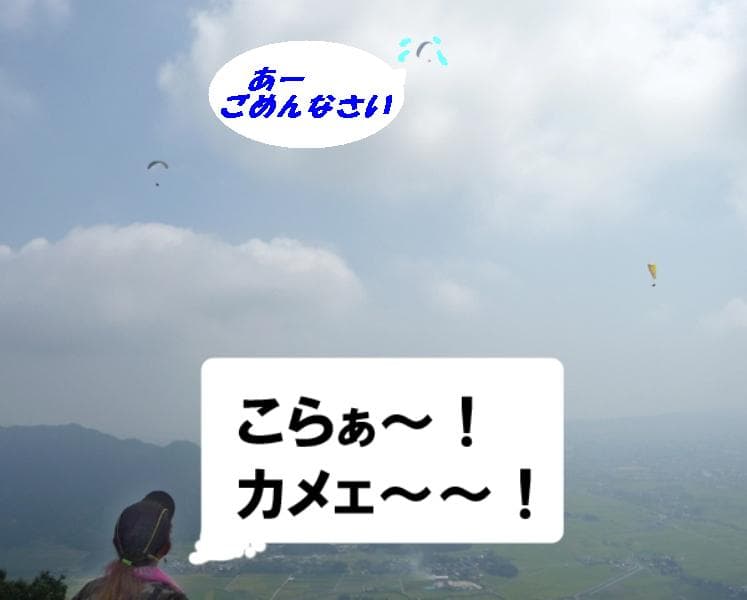 P1020224a.jpg