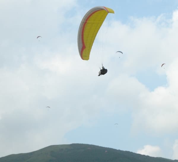 s-DSC_7799.jpg