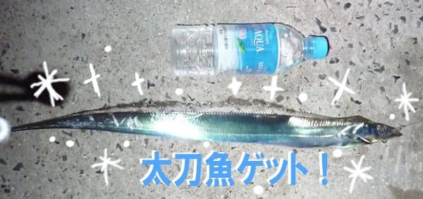 s-P1020019.jpg
