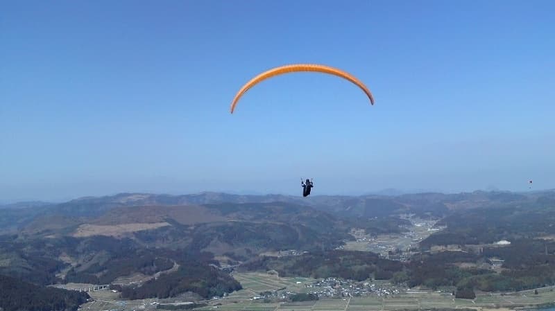 201002282.jpg