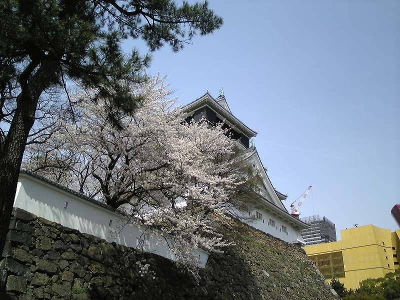 201003271.jpg