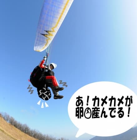 s-DSC_3930.jpg