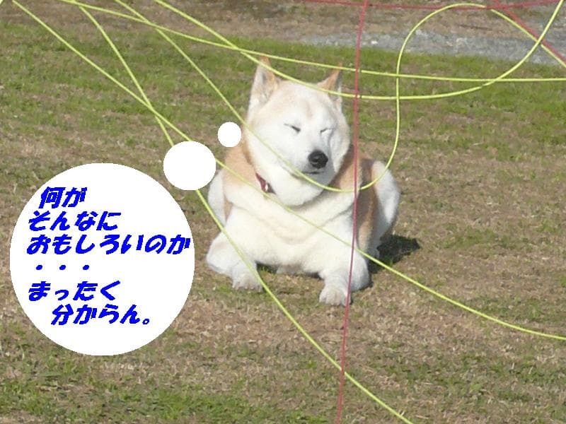 テツ