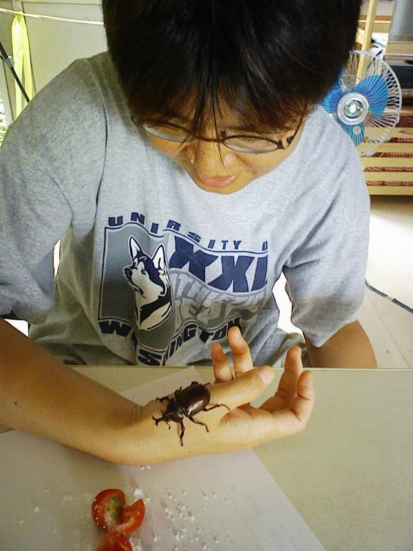 2008_0822画像0019