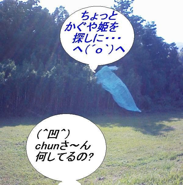 2008_1017画0029