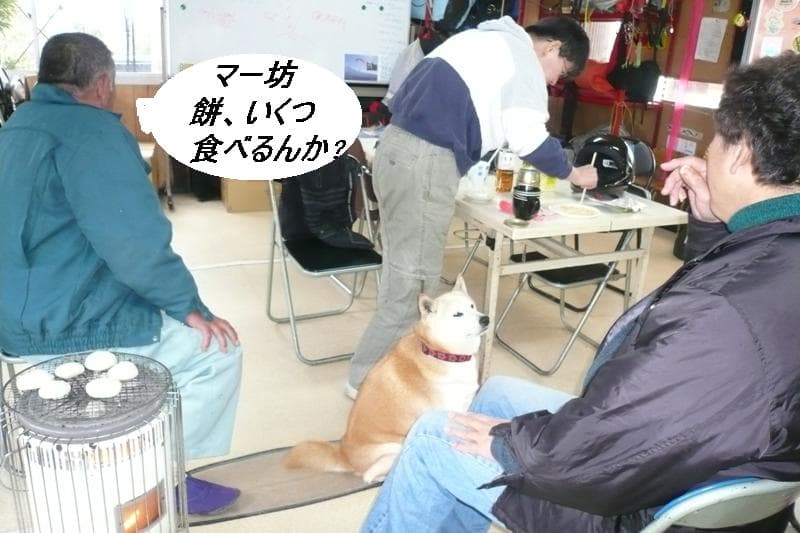 2009_0112画像0007