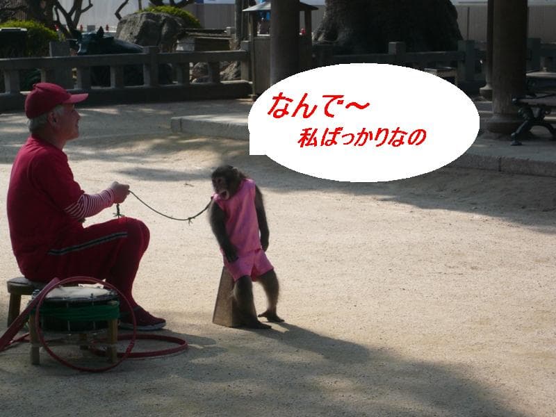 2009_0120画像0011