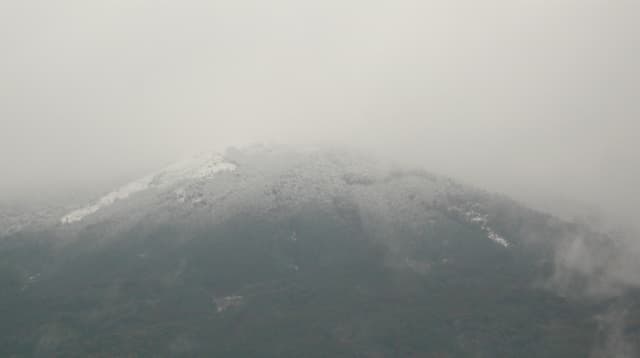 2009_0126画像0002