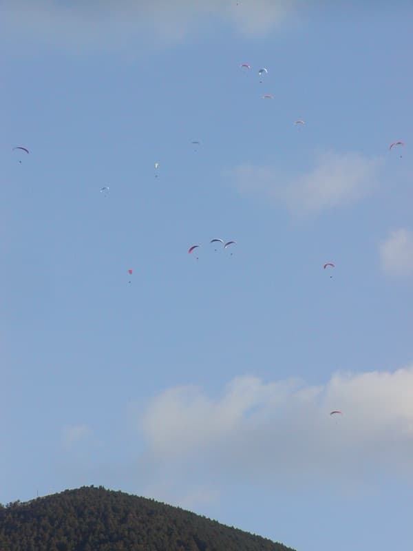 P1010009.jpg