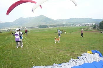 P1030128.jpg
