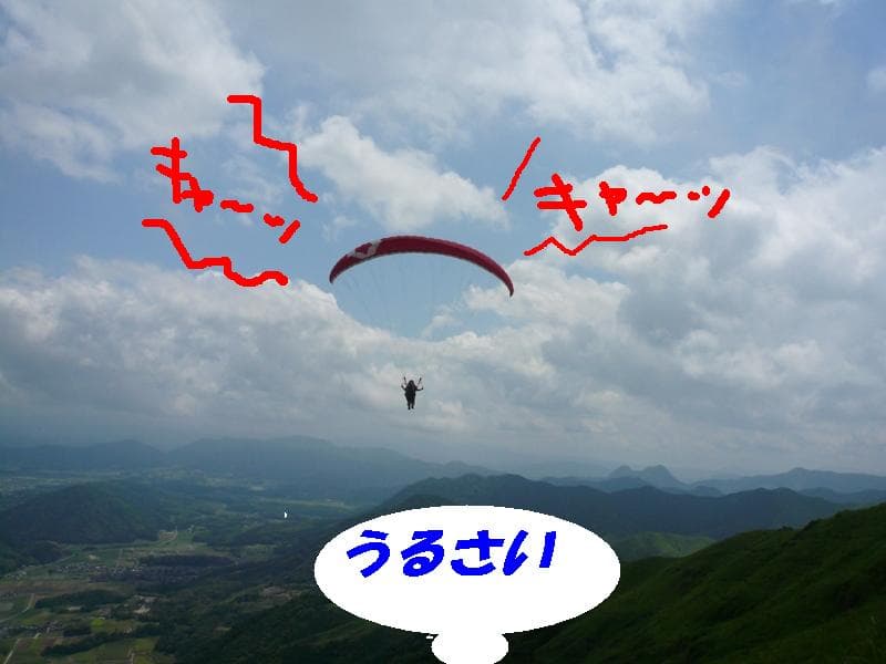 P1060314.jpg