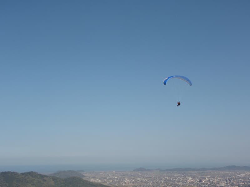 P4100015.jpg