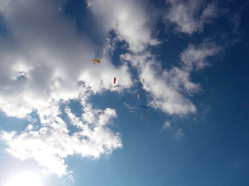 SDC10352.jpg