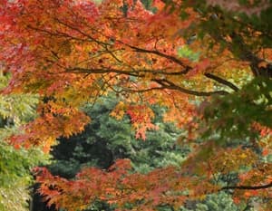 s-DSC_2856.jpg