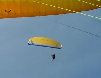 s-P1010312.jpg