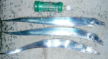 s-P1020805.jpg