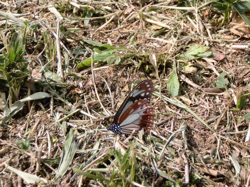 201110202.jpg
