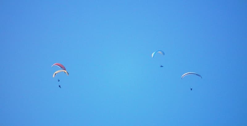 DSCF0011.jpg