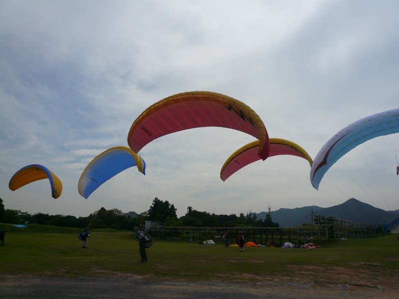 P1090168.jpg