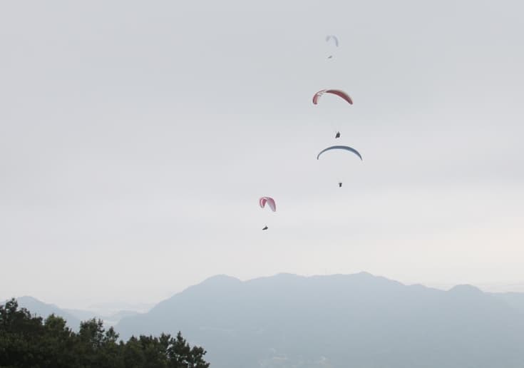 s-DSC_0825.jpg