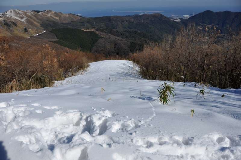 s-DSC_2015.jpg