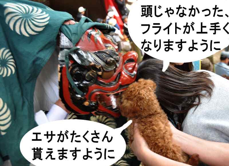 s-DSC_2573_20110417202604.jpg