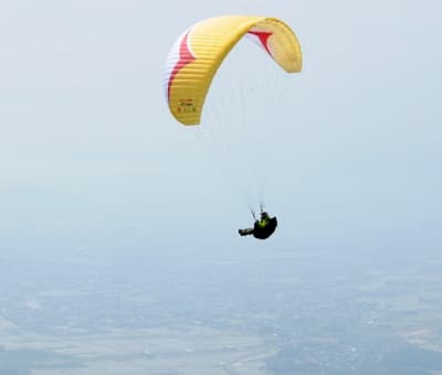 s-DSC_7415_20100606193350.jpg