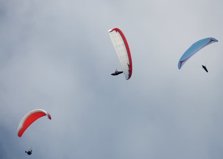 s-DSC_9511.jpg